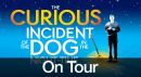 The Curious Incident of the Dog in the Night-Time on Tour: photo of Christopher with title of show